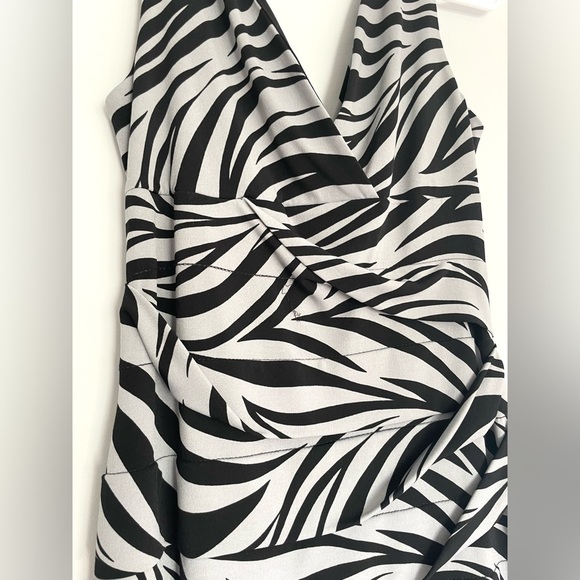 Sweet Storm Zebra Print Ruched V-Neck Dress - Picture 4 of 9